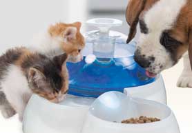 Hagen catnit water fontein voor kat en hond